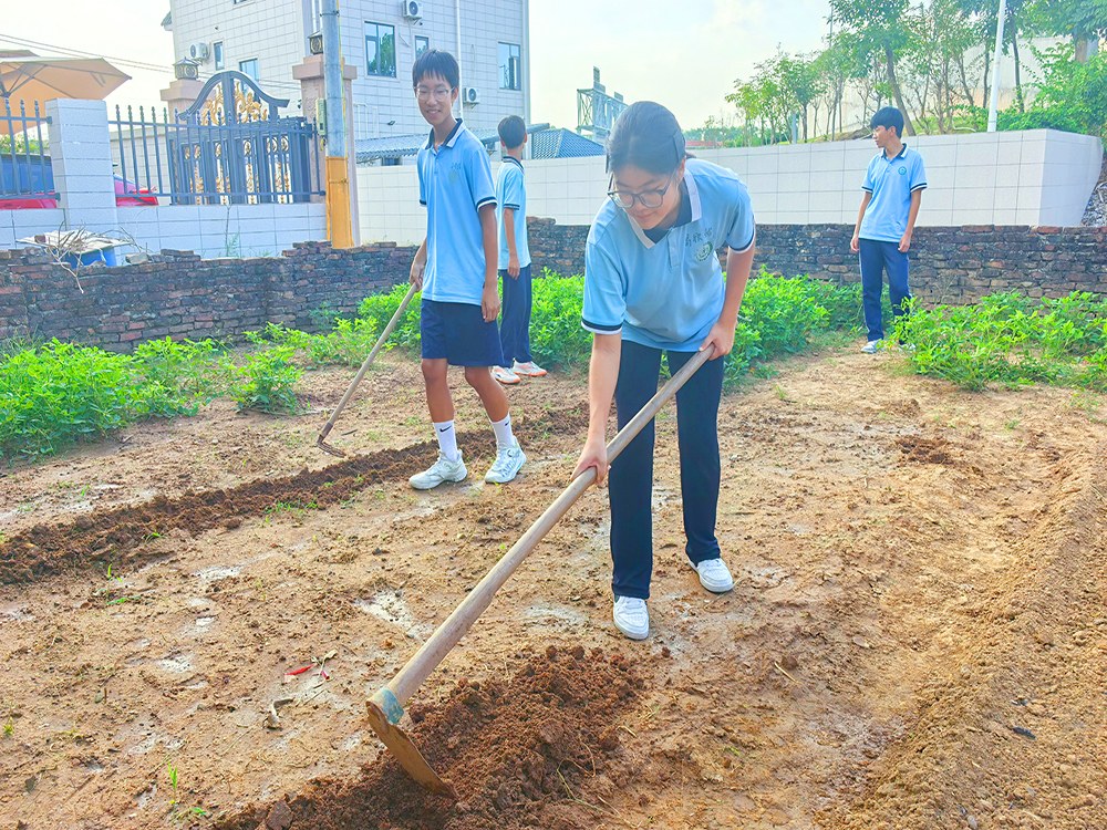 宁波正规青少年成长培育机构联系电话与择校指南